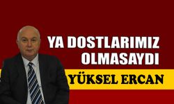 Ya dostlarımız olmasaydı