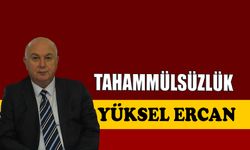 Tahammülsüzlük