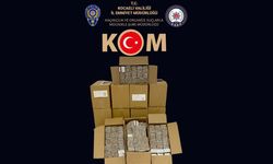 150 bin dal içi tütünle dolu makaron yakalandı