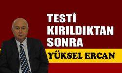 Testi kırıldıktan sonra