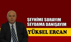 Şeyhime sorayım, Seydama danışayım