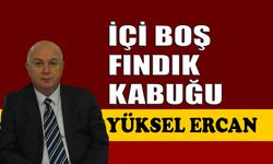 İçi boş fındık kabuğu