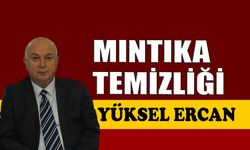 Mıntıka temizliği