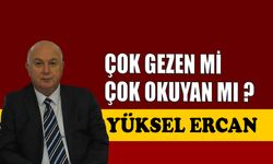 Çok gezen mi, çok okuyan mı?