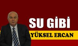 Su gibi