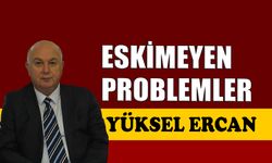 Eskimeyen problemler