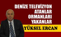 Denize televizyon atanlar, ormanları yakanlar