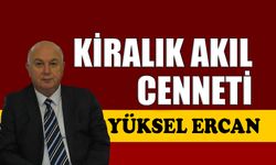 Kiralık akıl cenneti