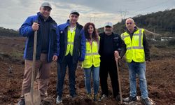 SEDAŞ, geleceğe nefes olmak için 500 fidan dikti
