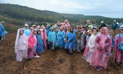 Gebze Ticaret Odası Hatıra Ormanı’nda 15 bin fidan toprakla buluştu