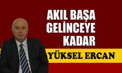 Akıl başa gelinceye kadar