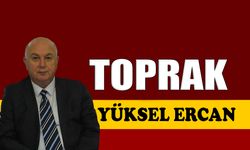 Toprak
