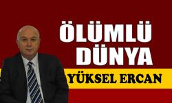 Ölümlü dünya