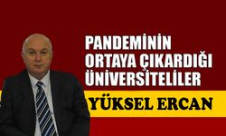 Pandeminin ortaya çıkardığı üniversiteliler