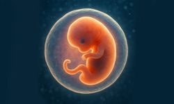 Embriyo, Türkiye’de de çocuk sayılırsa neler olur?