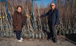 Büyükşehir’in fidan desteği meyvelerini verecek