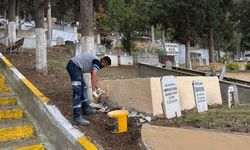 Mezarlıklarda durmaksızın çalışmaya devam