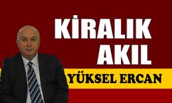 Kiralık akıl