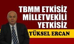 TBMM etkisiz, milletvekili yetkisiz