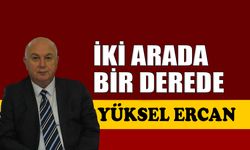İki arada bir derede