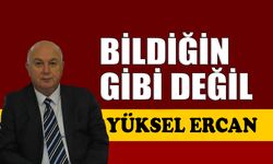 Bildiğin gibi değil