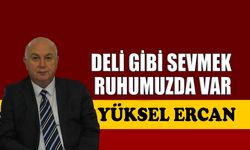 Deli gibi sevmek ruhumuzda var
