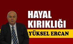 Hayal kırıklığı