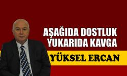 Aşağıda dostluk, yukarıda kavga