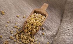 Ata Tohumu Ahmet Buğdayı Projesi tamamlandı