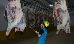 Büyükşehir Mezbahası’nda 6 bin 29 kesim yapıldı