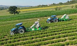 Büyükşehir 2025 yılında çiftçilere 166 milyon TL’lik destek sağladı