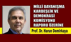 Milli Dayanışma Kardeşlik ve Demokrasi Komisyonu Raporu üzerine