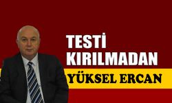 Testi kırılmadan