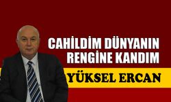 Cahildim dünyanın rengine kandım