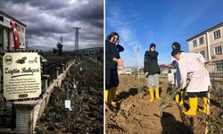 GTÜ, Hatay’da depremde yitirilen öğretmenler için zeytinlik kurdu