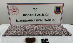 Jandarma’dan Gebze’de uyuşturucu operasyonu: 1 kişi yakalandı