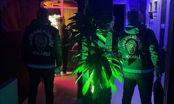 Kocaeli genelinde masaj salonları denetlendi