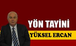 Yön tayini