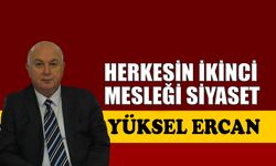 Herkesin ikinci mesleği siyaset