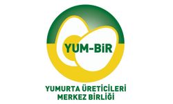 Yumurta üretiminde son 3 yılın rekoru