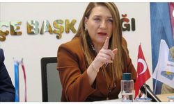 H.Pınar Demirel’den, Elektrik Yok imza kampanyası