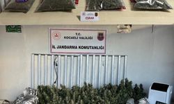Jandarma’dan, Kocaeli genelinde 40 adrese operasyon