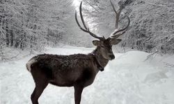 Kuzuyayla’da bayram ve kar sevinci bir arada
