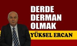 Derde derman olmak