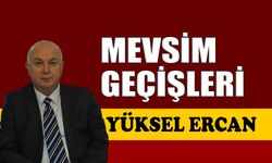 Mevsim geçişleri