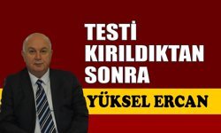Testi kırıldıktan sonra
