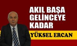 Akıl başa gelinceye kadar