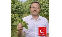 Aydemir: Fındık dalda, halk darda, rantçı yolda!