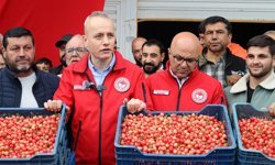 Kiraz hasreti bu sene bitiyor