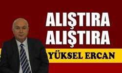 Alıştıra alıştıra